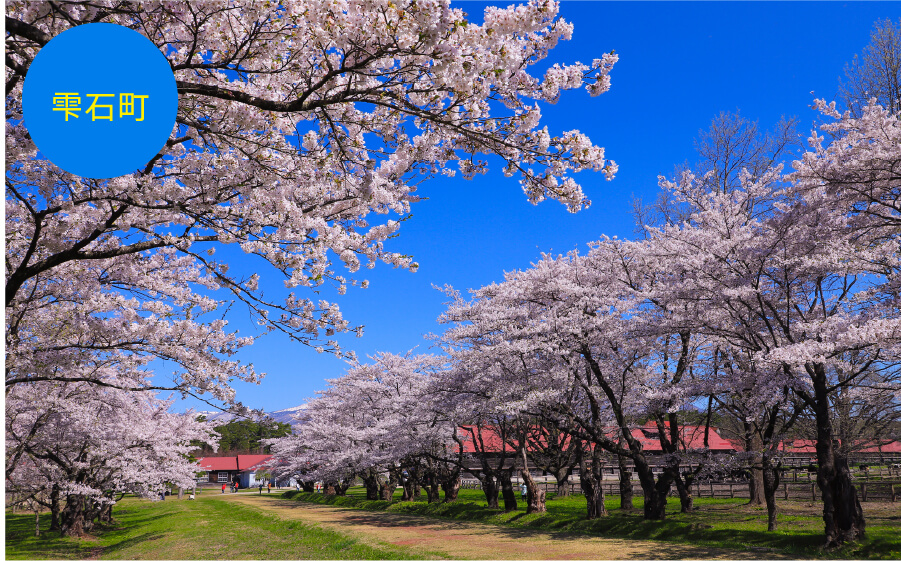 小岩井農場