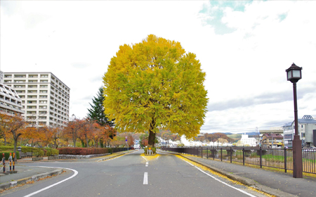 上の橋